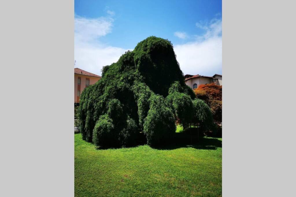 Apartmán Dimora 1690 Savigliano Exteriér fotografie